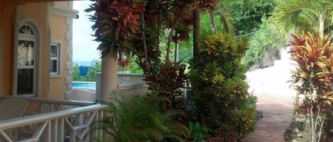 A covered outdoor area with a pool, surrounded by various potted plants and a stone pathway.