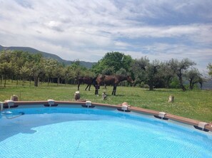 Outdoor pool - Residence Grimani - Apartment Asia (Stroncone)