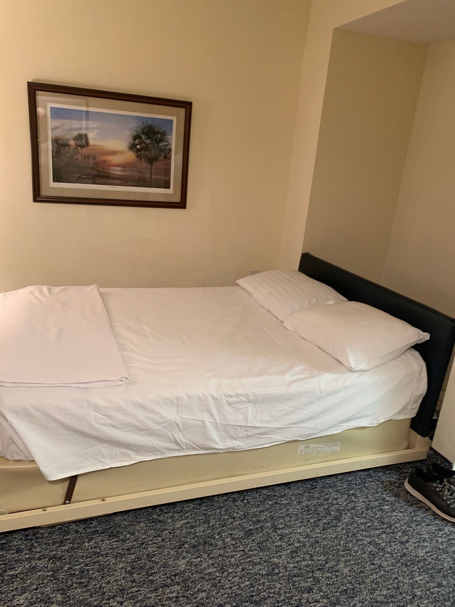 Ein Einzelbett mit weißer Bettwäsche in einem Zimmer mit Teppichboden und einem gerahmten Landschaftsbild an der Wand.