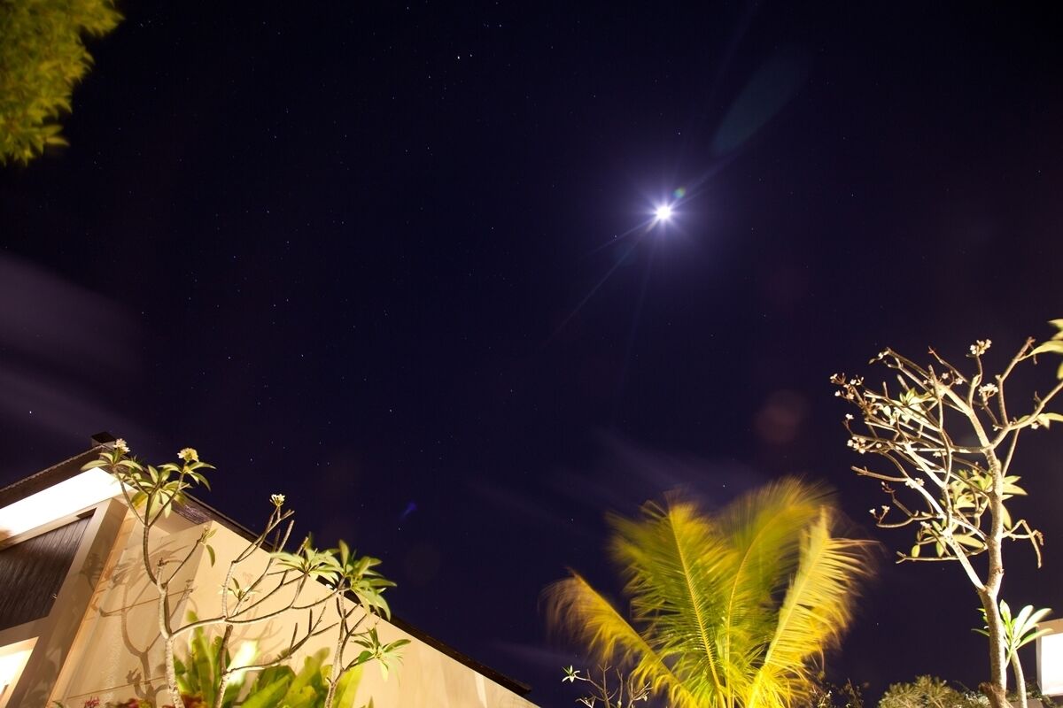 A night sky with stars and a bright moon. There are trees and a building with lights.