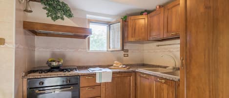 Fridge, oven, stovetop, coffee/tea maker