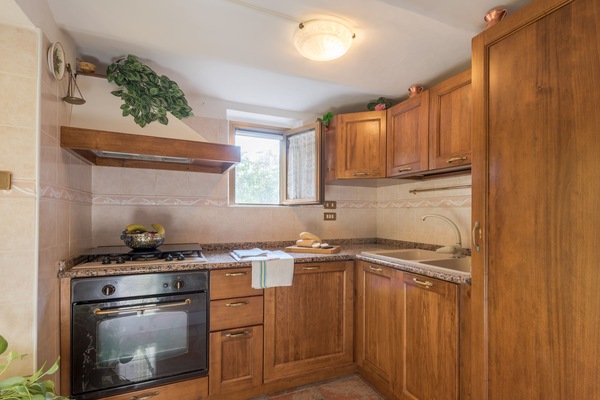 Fridge, oven, stovetop, coffee/tea maker