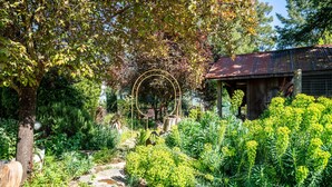 A garden with a stone pathway, various plants, and a metal arch structure. - Farmhouse on Vineyard (Redwood Valley)
