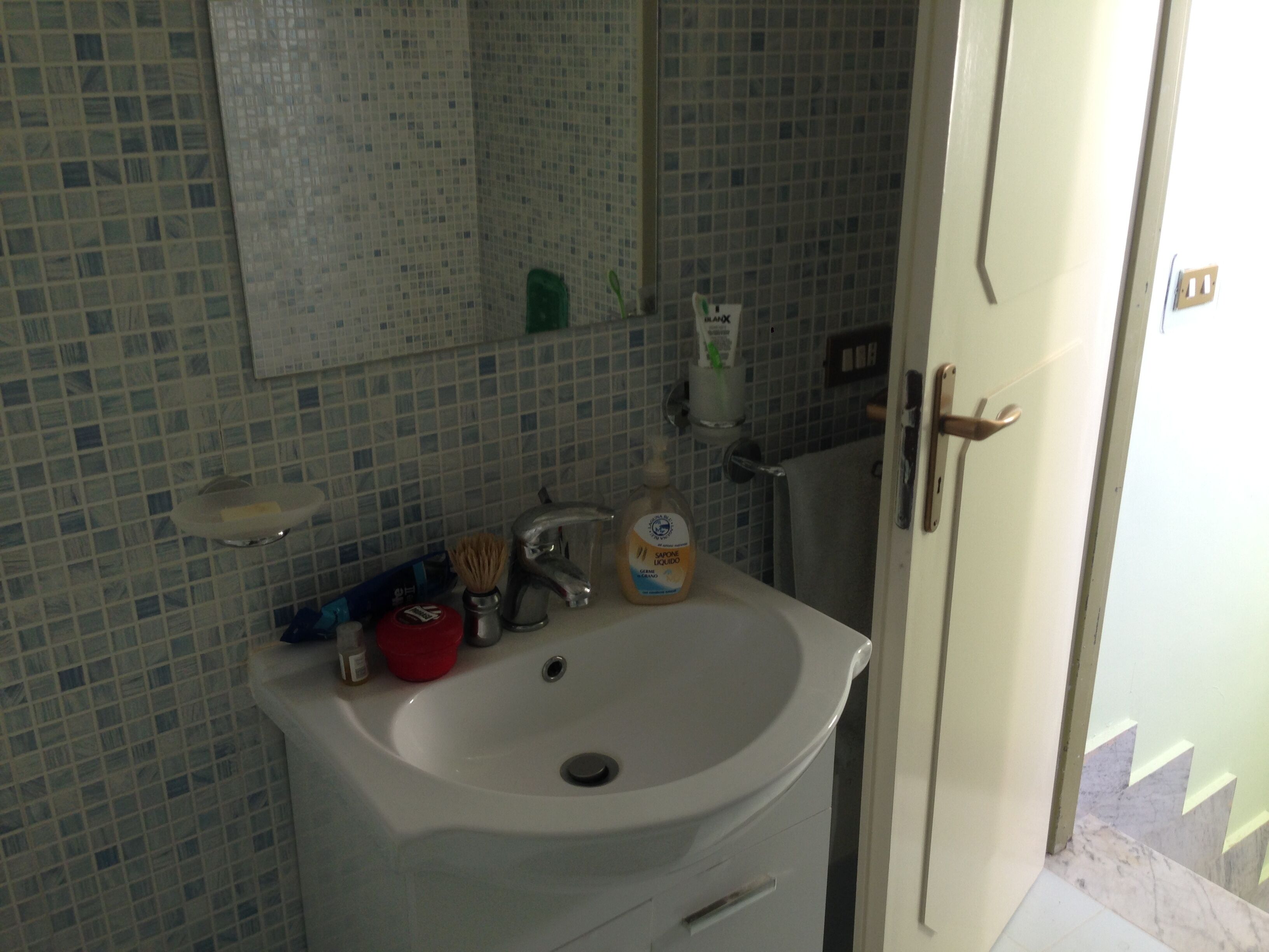 Combined shower/tub, hair dryer, bidet, towels