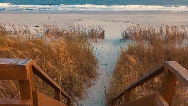 Une promenade en bois mène à une plage bordée de hautes herbes de chaque côté.