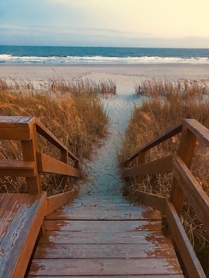 A wooden boardwalk leading to a beach with tall grass on either side. - Direct Ocean Front Ground Floor Paradise W/Pool! (Surfside Beach)