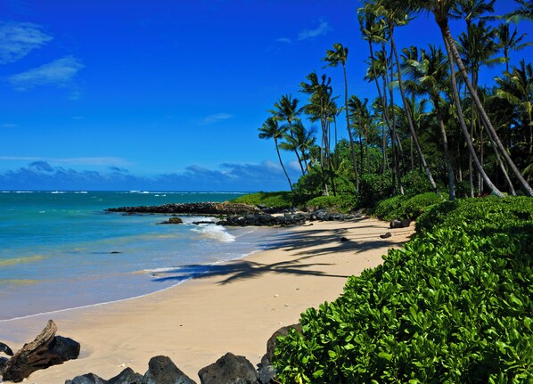 Une plage avec une eau d’un bleu limpide, un rivage sablonneux et des palmiers.