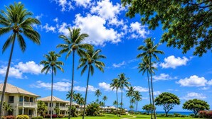 Un complexe hôtelier tropical doté d’une pelouse bien entretenue, de palmiers et d’un bâtiment avec un balcon.