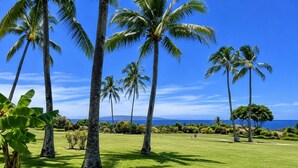 Un paysage tropical avec des palmiers et un ciel d’un bleu limpide.