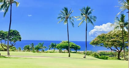 Luxurious, 2 bedroom / 2 bath, FULL Ocean View Wailea Condo