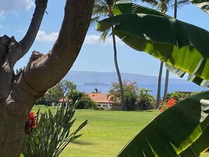 Property grounds - Luxurious, 2 bedroom / 2 bath, FULL Ocean View Wailea Condo (Wailea)