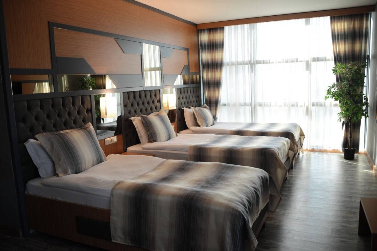 A hotel room with three beds, a large window with curtains, and a potted plant.