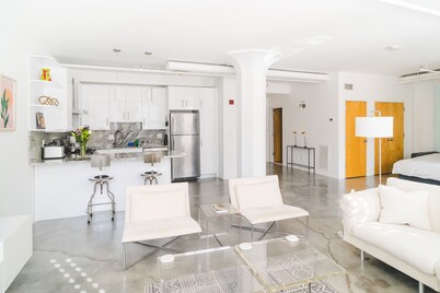 Bright & Spacious Loft Steps to the Freedom Trail