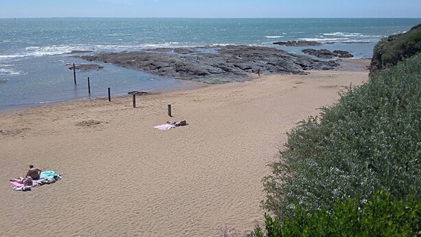 Strand