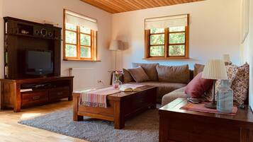 Smart TV, DVD player, books, stereo