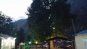 Restaurant - Adventure island guest house (Sharda)