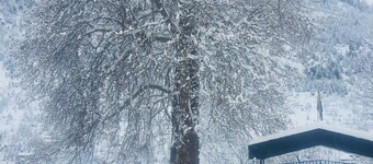 Adventure island guest house