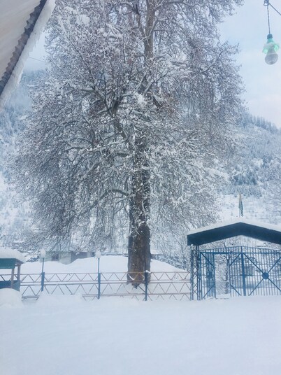 Adventure island guest house