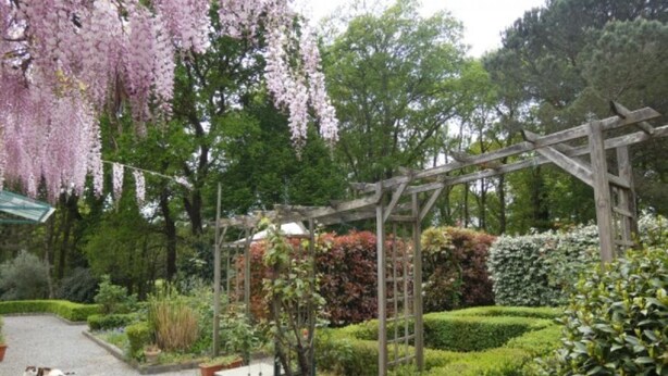 Een tuin met een houten pergola, strak bijgesnoeide hagen en diverse planten.