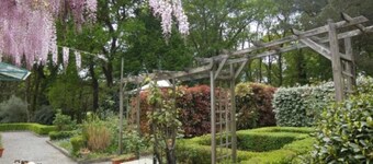 Garden Suite, Breakfast included