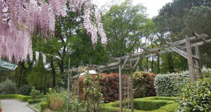 Garden Suite, Breakfast included