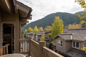 Property grounds - Spacious family town home .06 miles from downtown Ketchum (Ketchum)