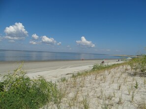 Beach nearby - Immaculate and Pet Friendly 2 BR 2 Bath House on Tybee's North End! (Tybee Island)