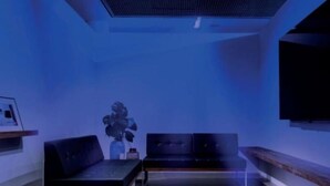 A modern living room with a sofa, a coffee table, and a plant.