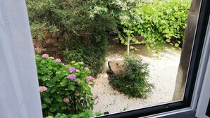 Vista a través de una ventana que muestra un jardín con plantas diversas y un muro de piedra.