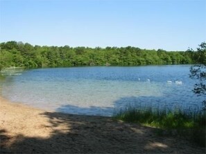 Playa en los alrededores, camastros y toallas de playa 