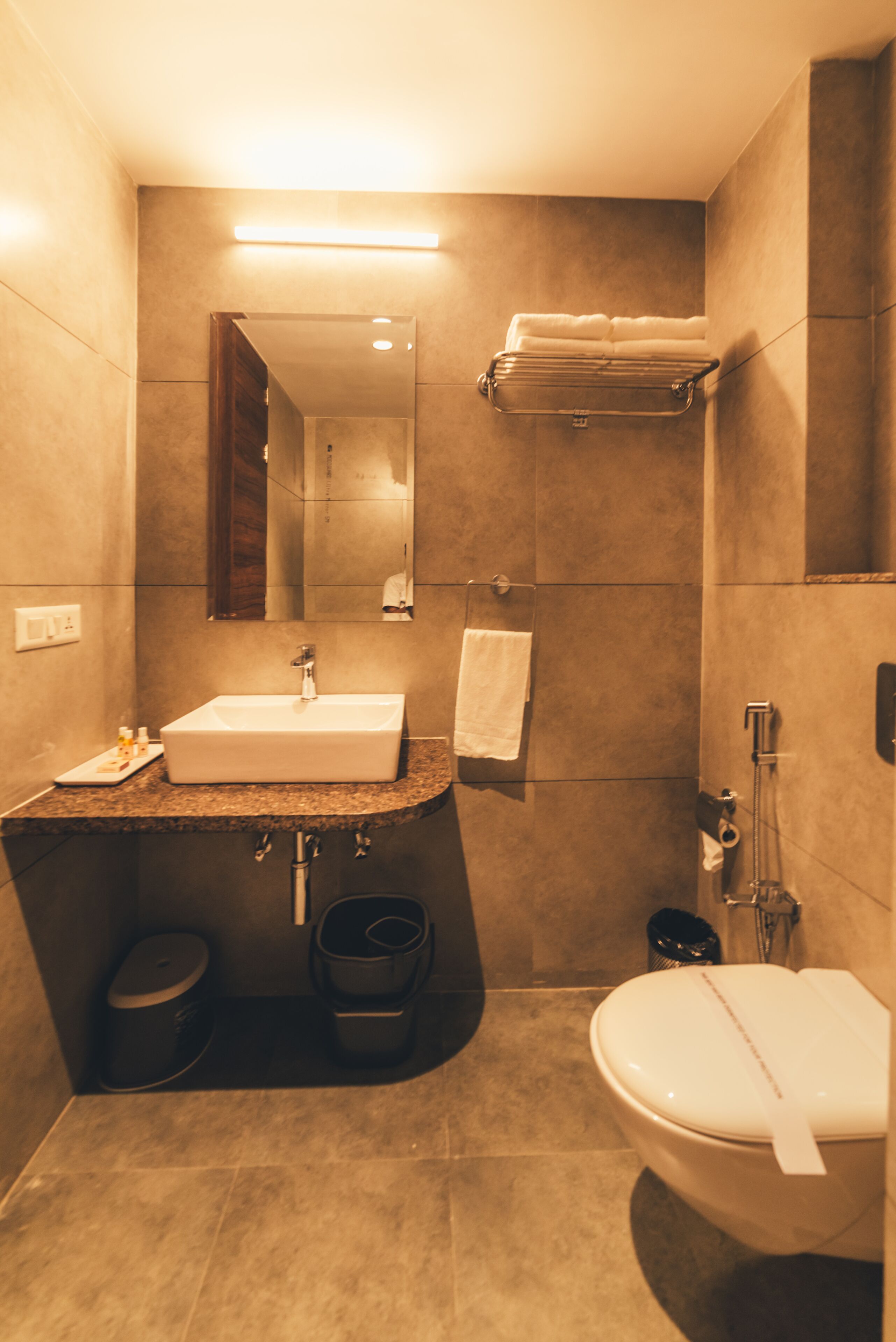 palace view rooms | bathroom | shower, towels