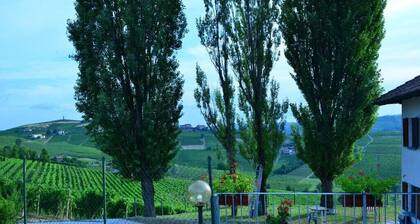 I Grappoli Wine House