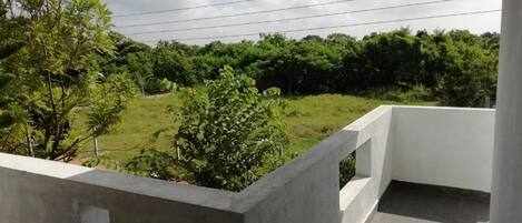 الإطلالة من المنشأة