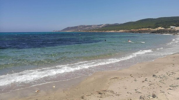 Ein Strand mit klarem Wasser, sandigem Ufer und hügeliger Landschaft im Hintergrund.