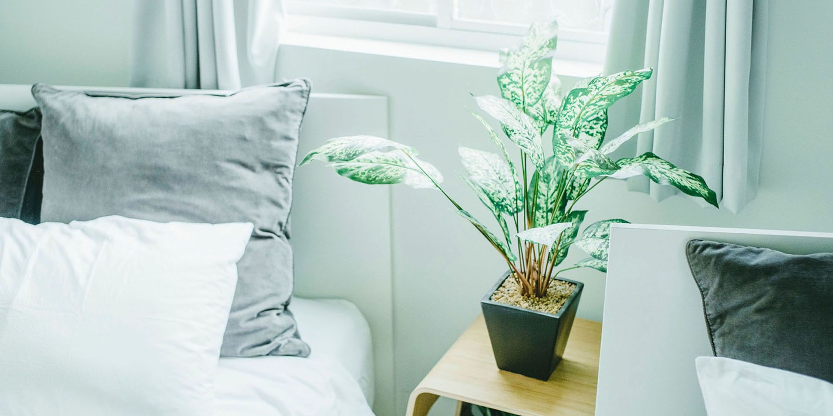 Un dormitorio con cama, una mesita de noche con planta en maceta y una ventana con cortinas.