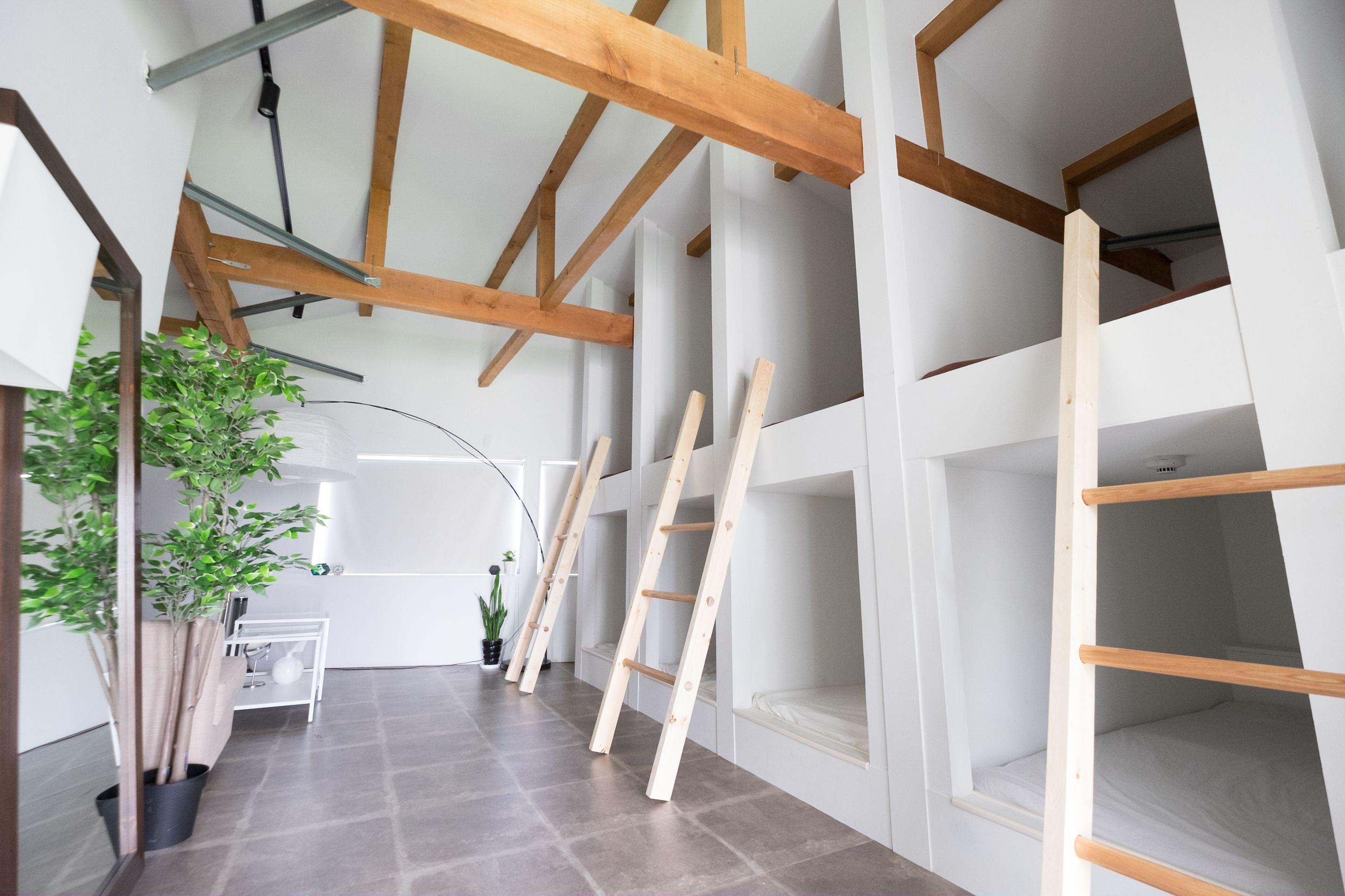 Foto - Hippo Hostel and Cafe Bar