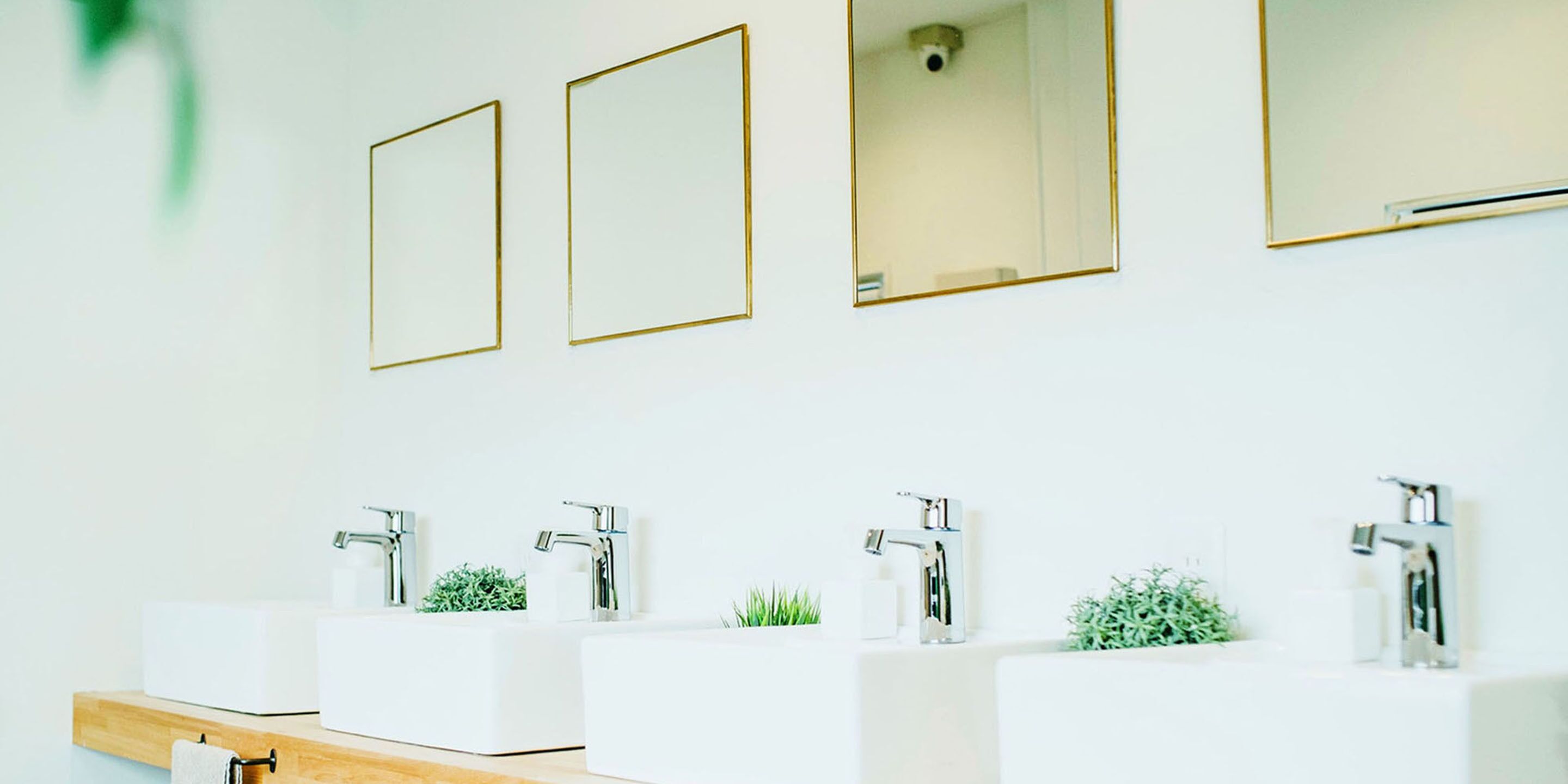 Foto - Hippo Hostel and Cafe Bar