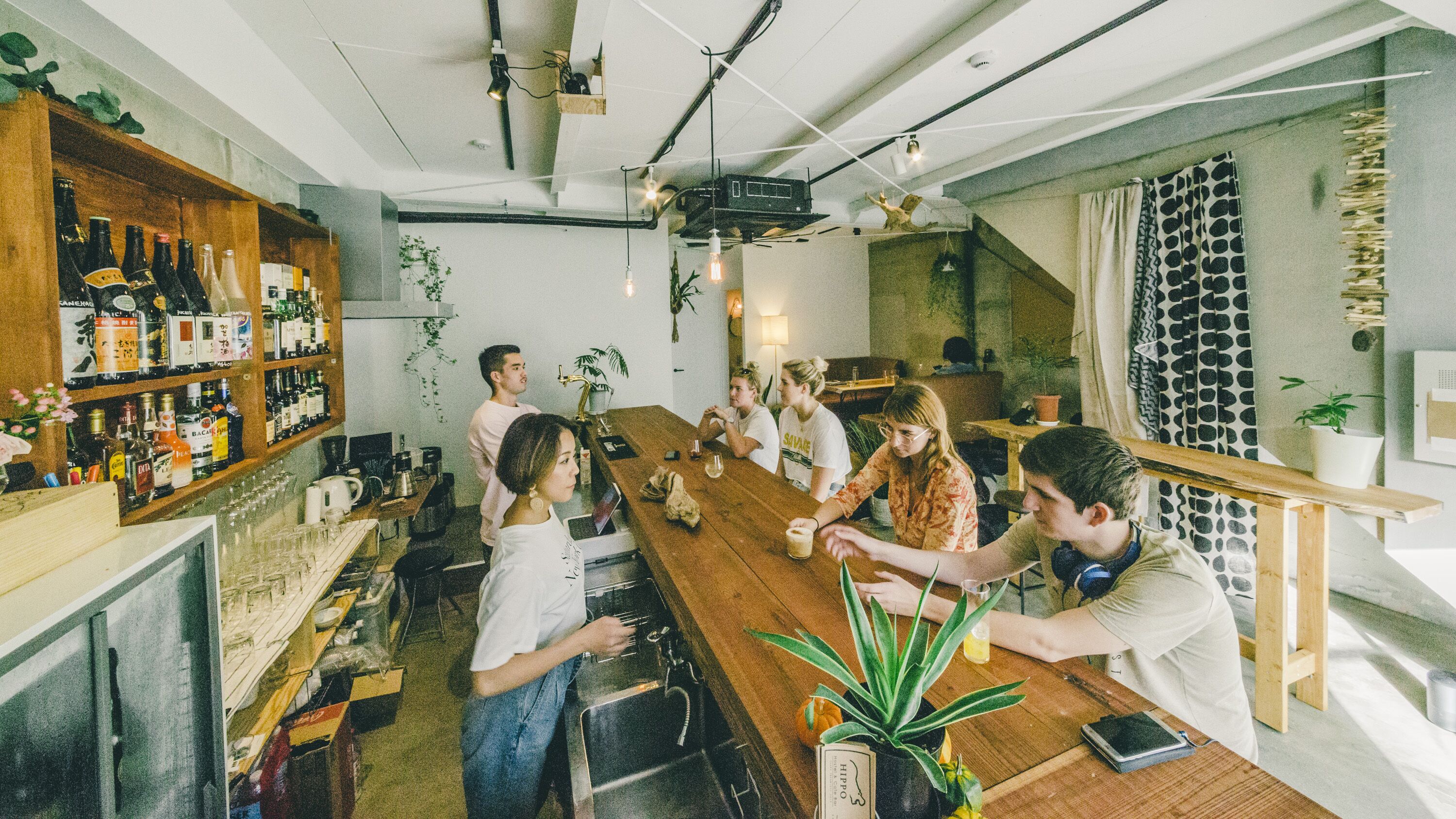 Un espace bar avec un long comptoir en bois, des étagères remplies de bouteilles et des plantes en pot.