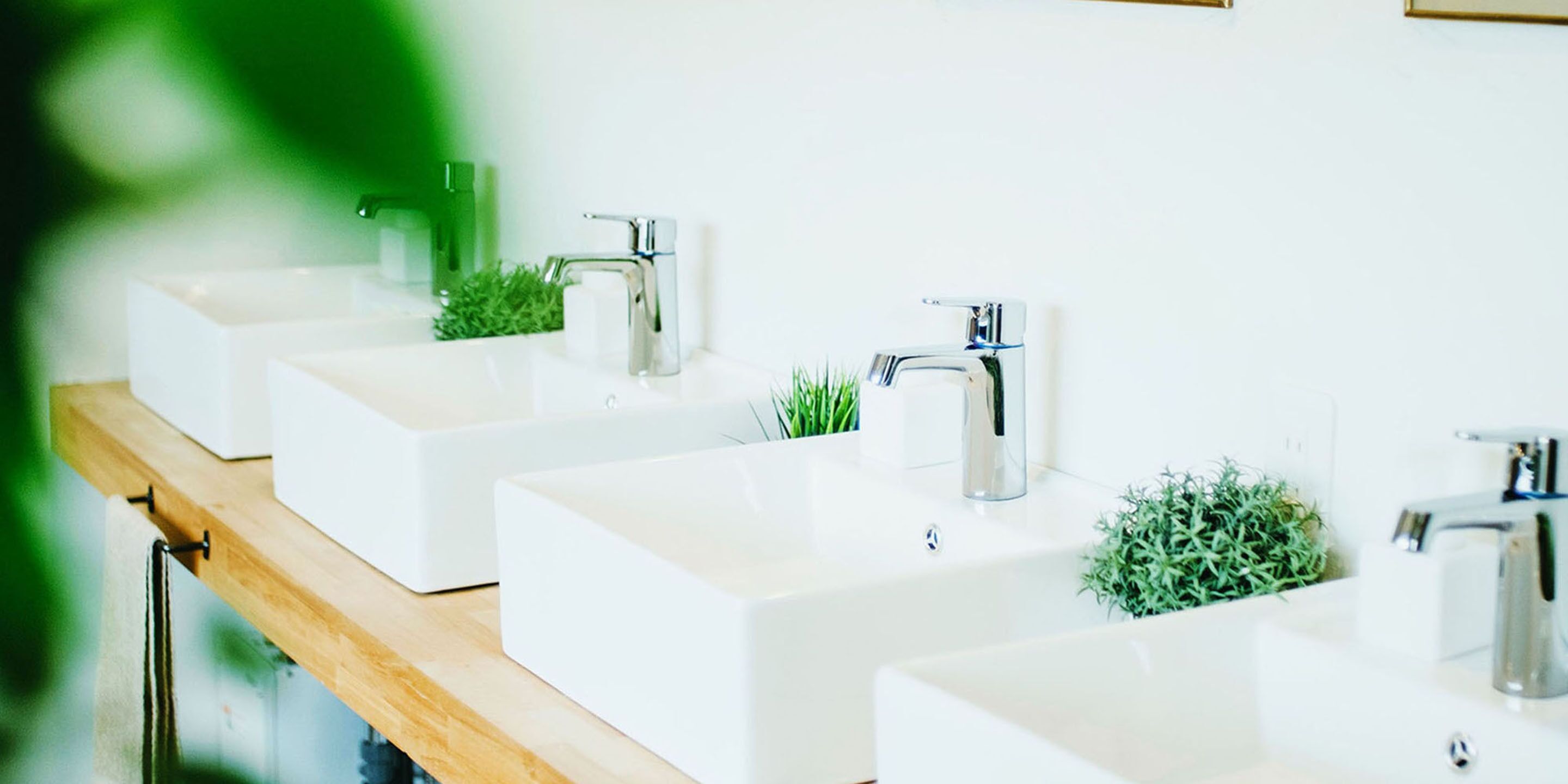 Foto - Hippo Hostel and Cafe Bar