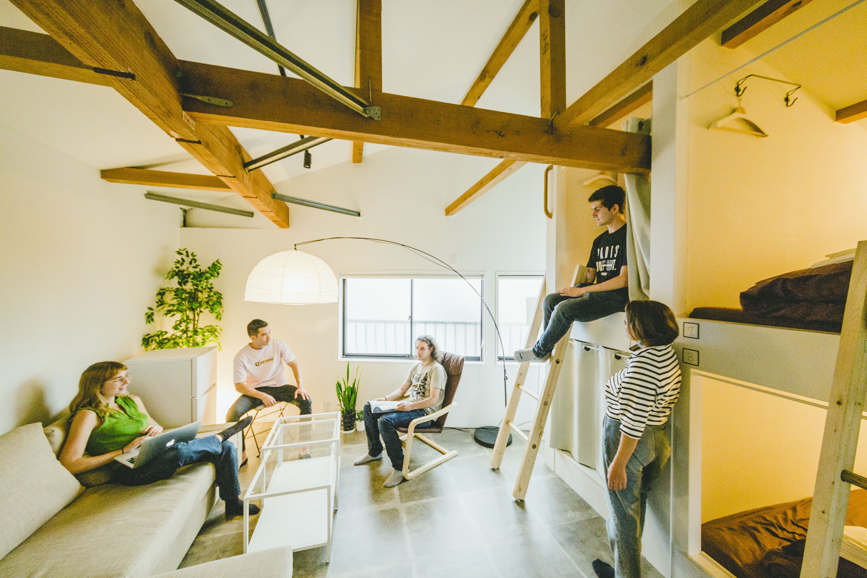 Foto - Hippo Hostel and Cafe Bar