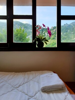 Chambre Triple, vue montagne (1) | Vue de la chambre