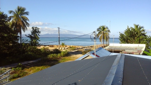 Vista da praia com céu claro, palmeiras e costa rochosa.
