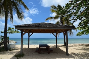 Um gazebo de praia de madeira com um banco, rodeado por palmeiras e com vista para o oceano.