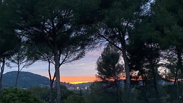 Een zwembad omringd door bomen, met uitzicht op een glooiend landschap in de zonsondergang.
