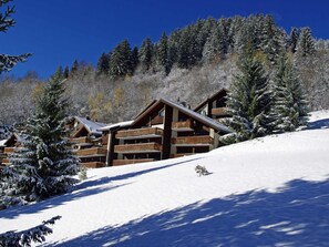 Een houten lodge met meerdere balkons, omringd door met sneeuw bedekte bomen en een helderblauwe lucht.