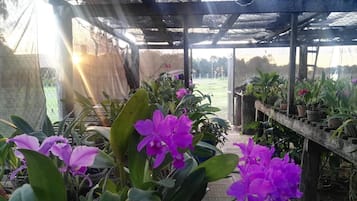 Khuôn viên nơi lưu trú