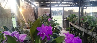 Rancho Seibert
