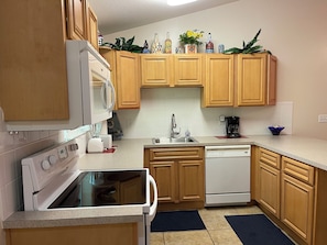 Fridge, microwave, oven, stovetop - TAMPA FLORIDA VACATION DELIGHT (Tampa)