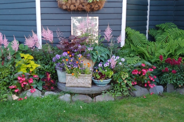 Spring garden in front yard.