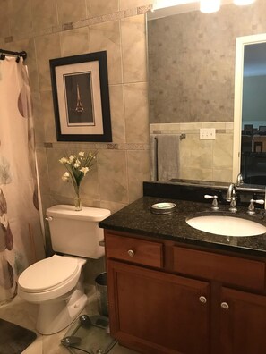 Secador de cabelo, toalhas de banho, sabonete, shampoo